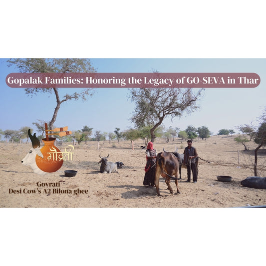 Gopalak Families: Honoring the Legacy of Dedicated Cow Care in Thar